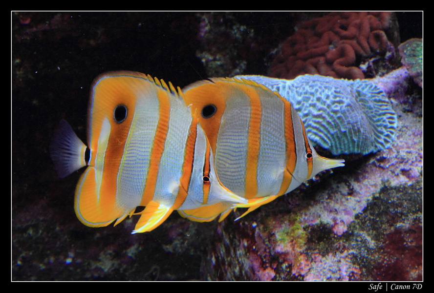 2012 - 06 - Dubai - 006